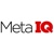 Meta IQ Services, Inc.