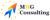 MHG Consulting SRL