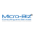 Micro-Biz Consulting & Services