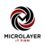 Microlayer IT Firm