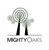 Mighty Oaks