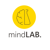 Mind Laboratory