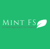Mint Financial Services