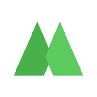 Mint Media
