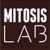 Mitosis LAB