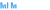 MLM SCRIPT