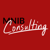 MNIB Consulting Inc