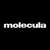 Molecula Agency LLC
