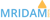 MRIDAM DIGITAL