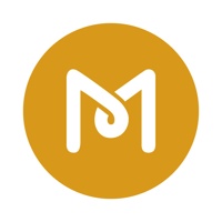 MS Web Designer