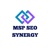 MSP SEO Synergy