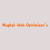 Mughal Web Optimizer's