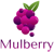 Mulberry Solutions
