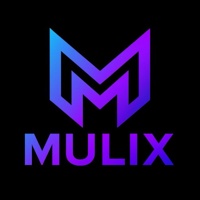 Mulix Digital
