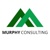 Murphy Consulting LLC