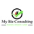 My Biz Consulting LLC