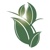 Myers Accounting & Tax LLC