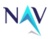 NAV IT Consulting Service