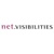 Net Visibilities