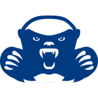 Netbadgers Ltd.