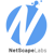 Netscape Labs