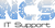 Network Consulting Services, Inc.