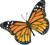 New Creature Computers