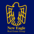 New Eagle Real State Group