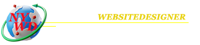New York Websites Designer