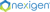 Nexigen & Cyber Security