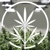 Next Big Crop