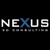 Nexus 3D Consulting