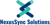 NexusSync Solutions