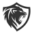 Night Lion Security