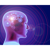 NLP Training Concepts, LLC