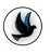 Noir Dove Marketing