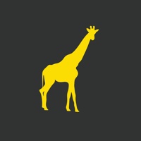 Noticestry
