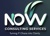 Now Consulting Services Inc