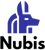 Nubis IT Services
