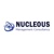 Nucleous Management Consultancy