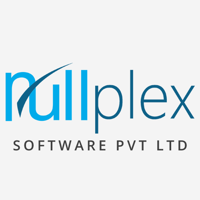 NULLPLEX SOFTWARE PRIVATE LIMITED