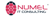 Numel IT Consulting Services