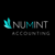 Numint Accounting