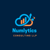 Numlytics consulting