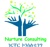 Nurture Business and Investment Consulting