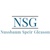 Nussbaum Speir Gleason PLLC