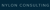 Nylon Consulting