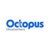 Octopus Ghost Writers