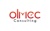 Olmec Consulting