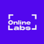 Online Labs